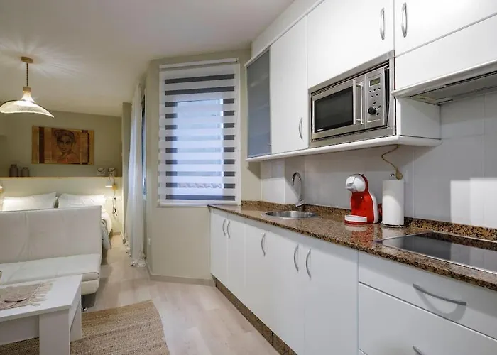 Encantador Loft En El Centro By فيجو